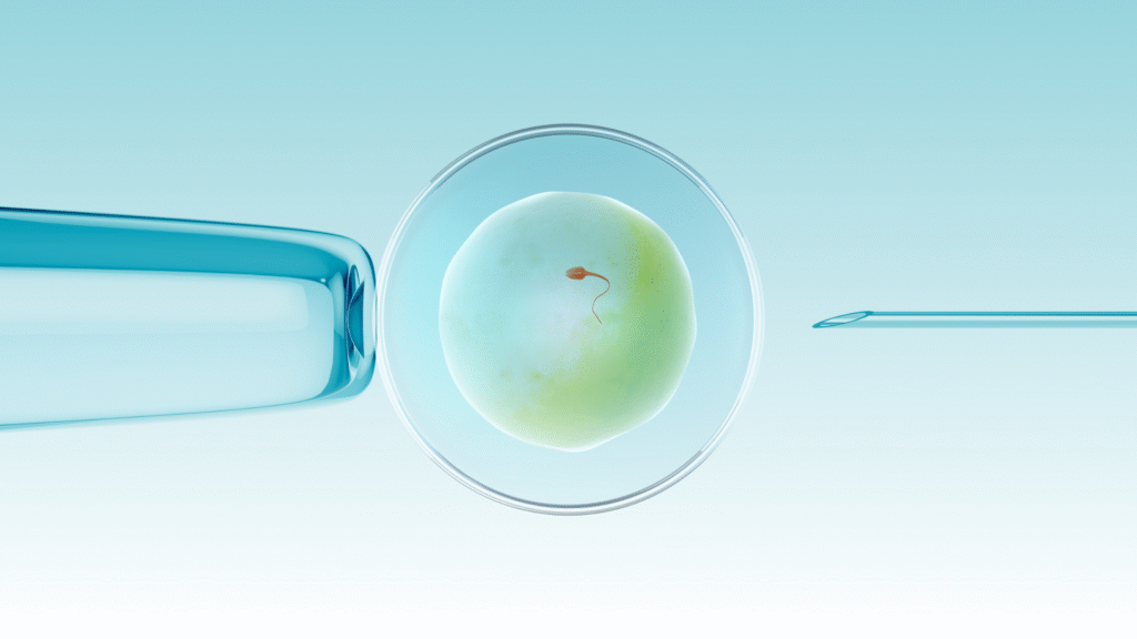 Kiaušialąstė su spermatozoidu tarp mėlynos pipetės ir adatos.