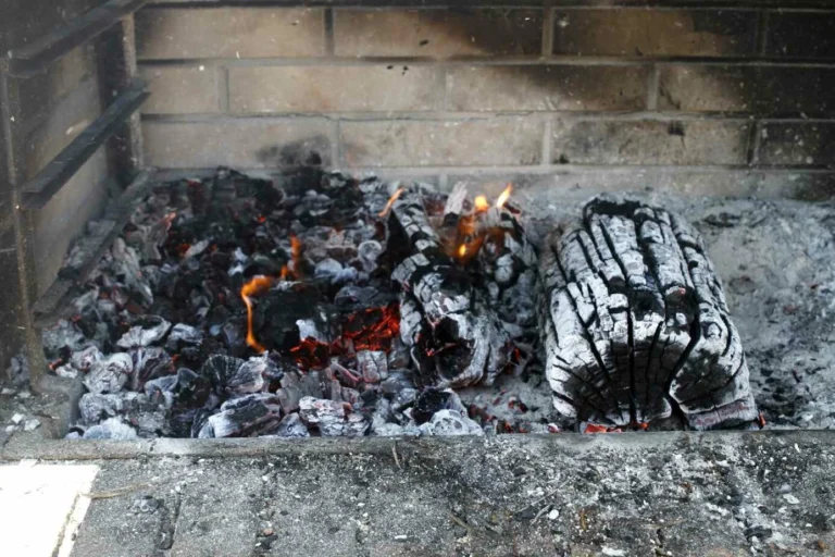 Stori pelenais padengti rąstai ir žarijos rusena plytinėje kepsninėje, ruošiant šilumą maisto gaminimui.
