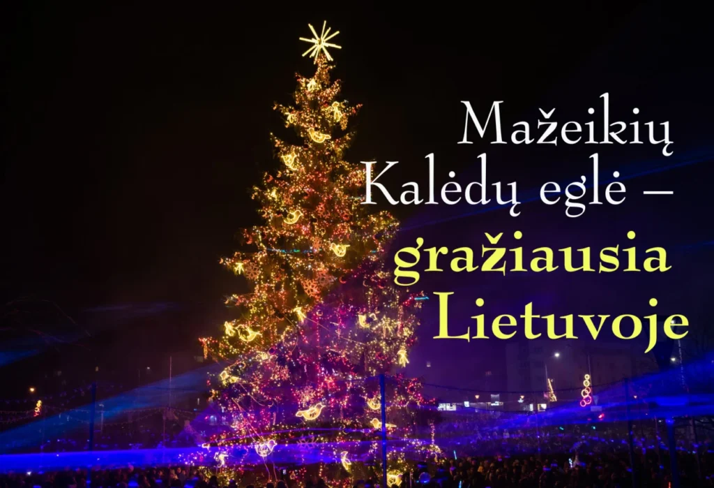 Milžiniška Mažeikių Kalėdų eglė spindi auksinėmis ir violetinėmis šviesomis, apsupta švenčiančios minios.