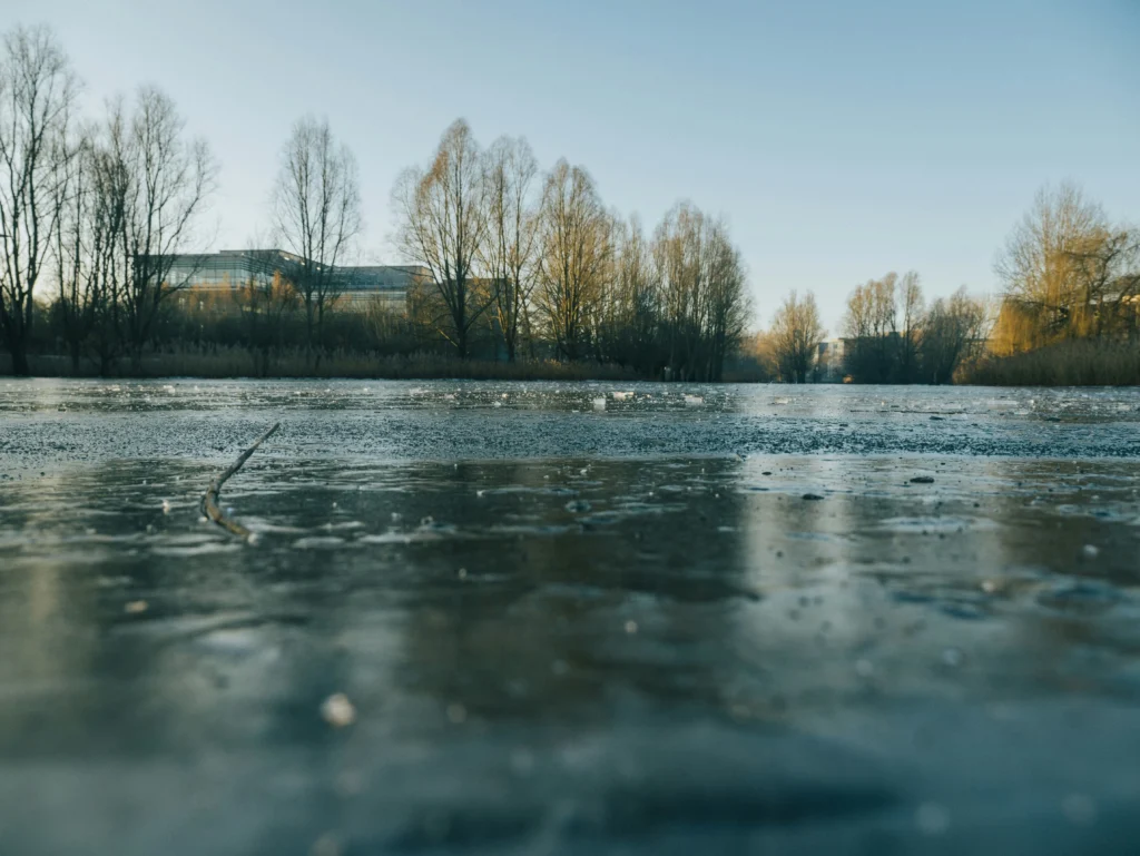 Grublėtas, melsvas užšalusio vandens paviršius su šakele, o fone – pliki medžiai ir pastatas po šviesiu dangumi.