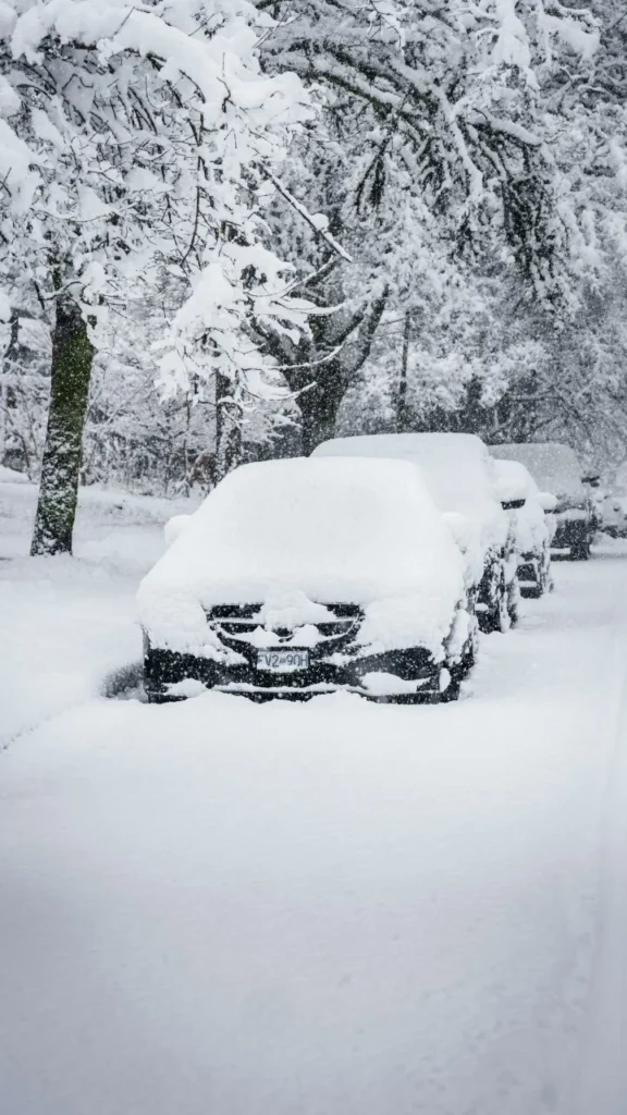 Stora puraus sniego danga visiškai užklojo tris stovinčius automobilius po žiemos audros medžių apsuptyje.