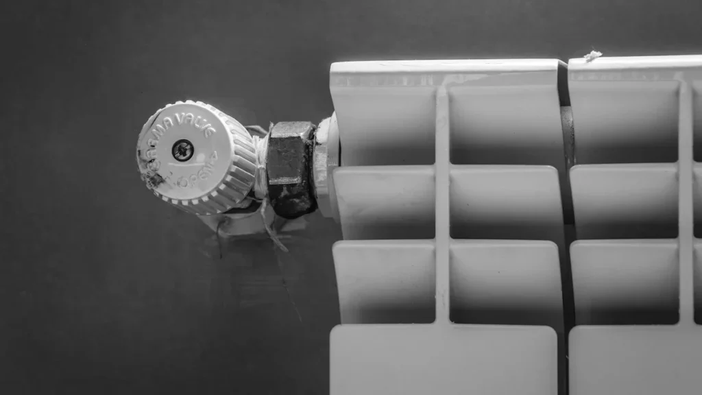 Radiators ar siltuma regulatoru - apkures sezonas noslēgums Birštonā