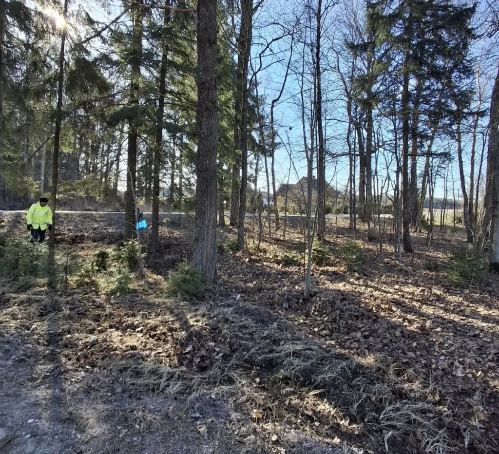 Vyras su ryškia geltona striuke vaikšto saulėtoje pamiškėje tarp aukštų medžių ir sausų rudų lapų.