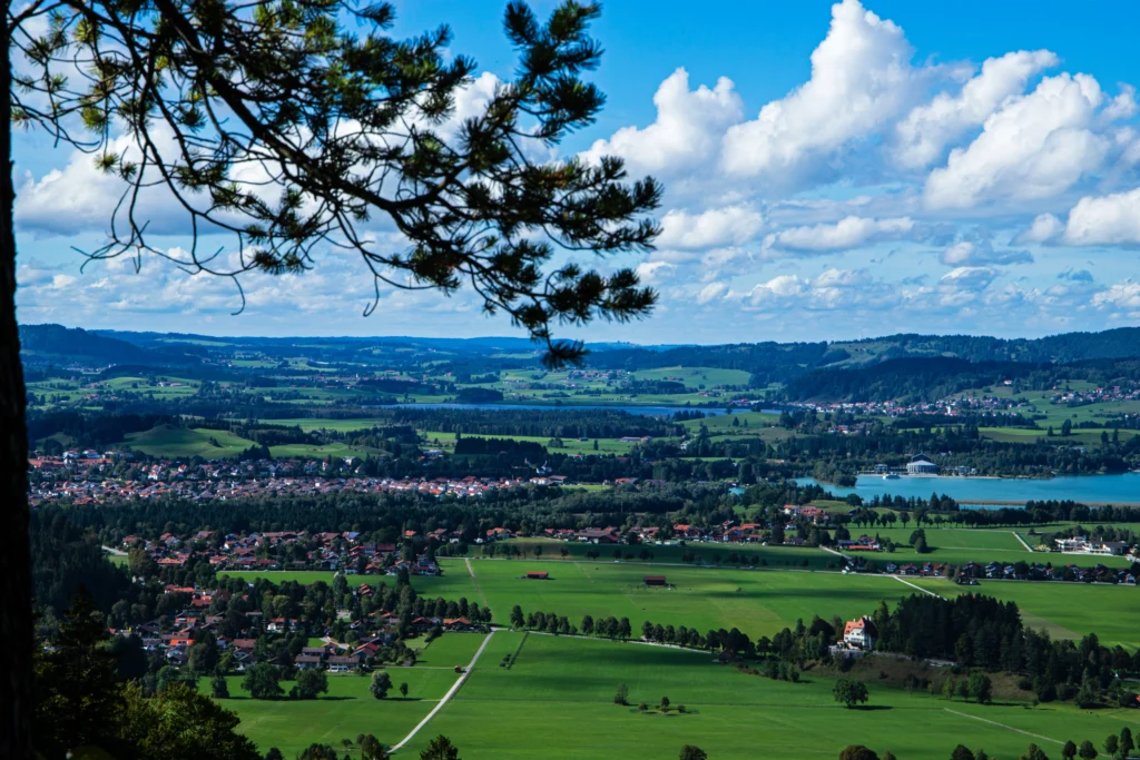 Panoraminis vaizdas iš aukštai į žaliuojantį slėnį su kaimais, ežerais ir pušies šaka pirmame plane.