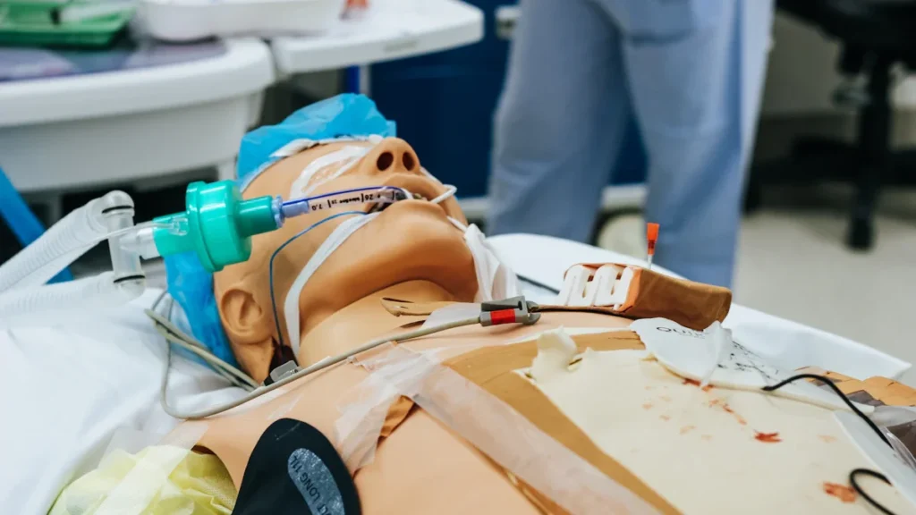 Medicininės simuliacijos manekenas, paruoštas pirmosios pagalbos ir civilinės saugos mokymų demonstracijai.