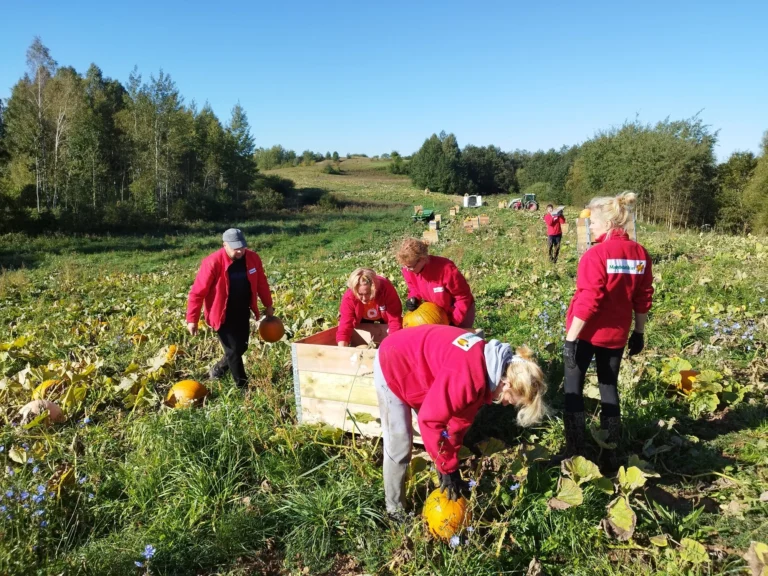 Lietuvoje „Maisto bankas“ mini 25 metų pagalbos kelią