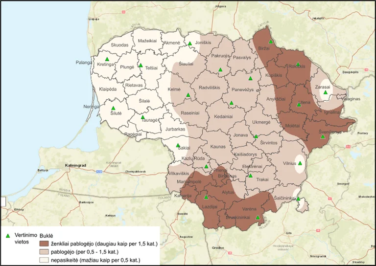 Lietuvos eglynai silpsta: grėsmė miškams auga