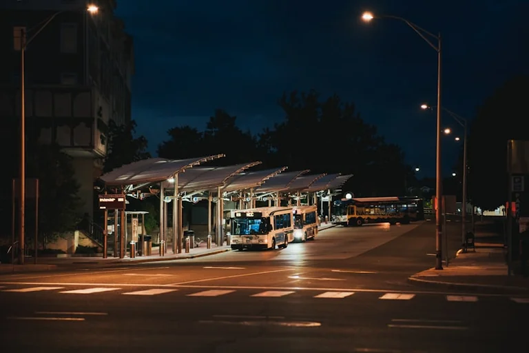 Palangoje kortelės turėtojams autobusai bus nemokami: ką svarbu žinoti