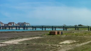 Panoraminis vaizdas į atvirą erdvę, upės pakrantę ir miesto tiltą saulėtą dieną.