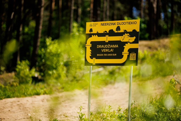 Lietuvos miškuose nauji įspėjimai bekelės vairuotojams