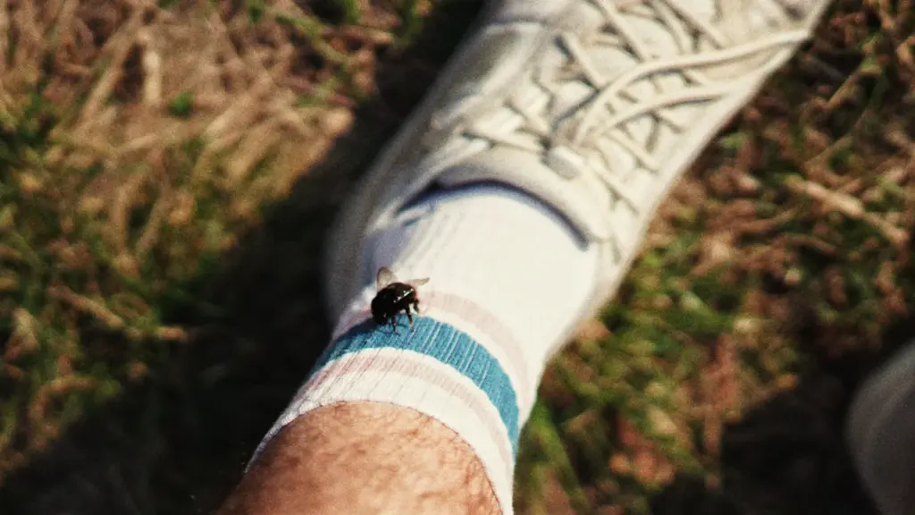 Vabalo pėdsakai ant kojos kojinės miške vaikštant lauke vasaros metu