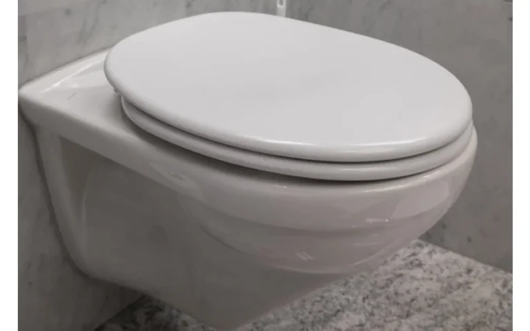 Kodėl klozeto dangtį verta uždaryti prieš nuleidžiant vandenį