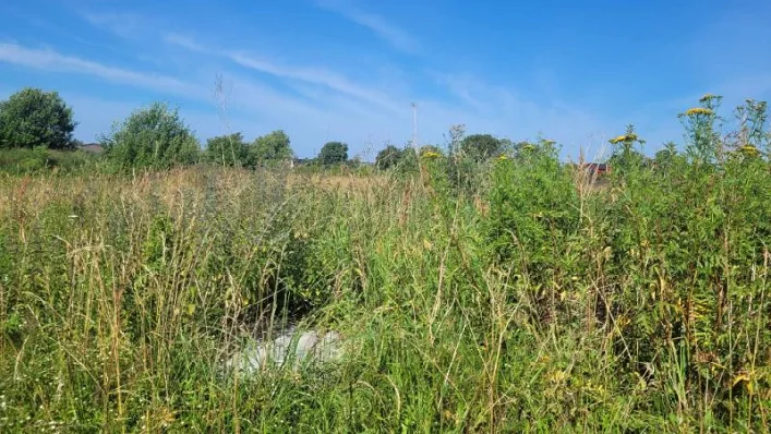 Kretingos sklypų valdytojams – 15 dienų terminas