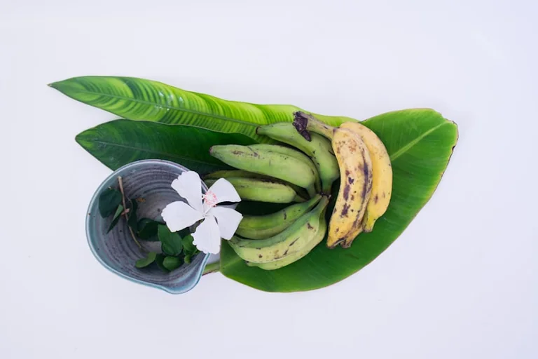 Tris bananų žieveles užpyliau vandeniu: po trijų dienų orchidėjos atrodė kitai