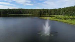 Vaizdas į Ignalinos ežerą, supamą vešlaus miško ir gamtos kraštovaizdžio.