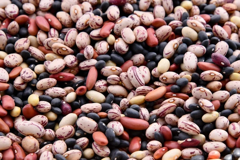 Kur iš tikrųjų reikia sodinti pupeles? Agronomas įvardijo vietą, kuri keičia v