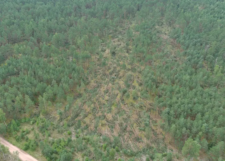 Pietų Lietuvoje audra atkirto stovyklautojus: miškuose – pavojus