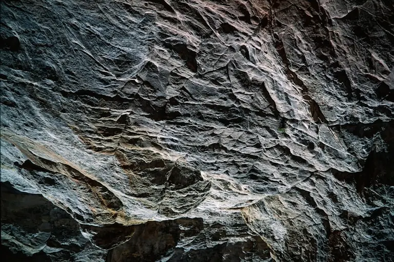 Prezidentas pasveikino geologą G. Motuzą Matuzevičių 80-mečio proga