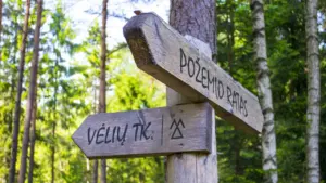 Medinis rodyklės stulpas su užrašais „Vėlių takas“ miško apsuptyje Pavandenėje.