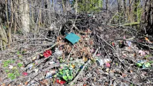 Išmestos atliekos ir dirbtinės gėlės paliktos miško pakraštyje šalia Vilniaus rajono.