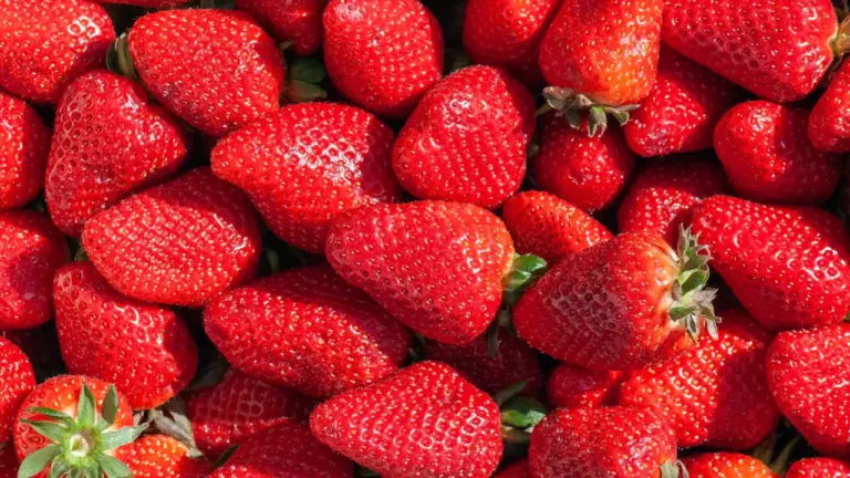 Neišmeskite braškių uodegėlių: kodėl pusė naudos slypi būtent jose