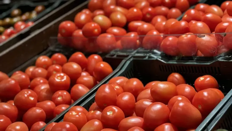 Pomidorų pardavimai krito penktadaliu: ką užaugino lietuviai
