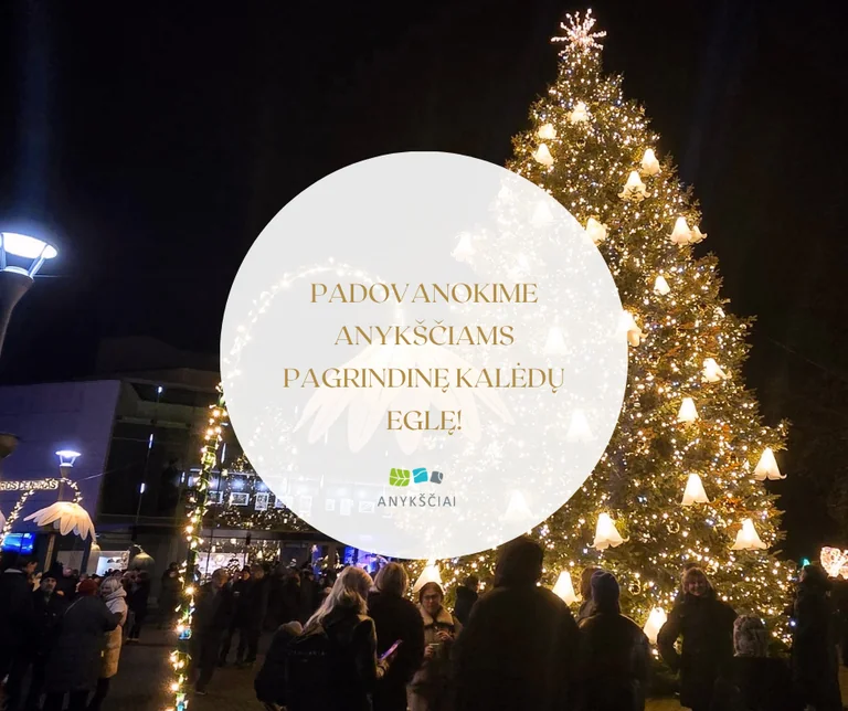 Anykščiuose ieškoma eglės, kuri per šventes papuoš centrinę aikštę