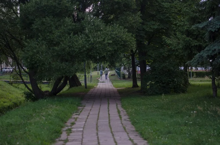 Henriko Vaitiekūno palikimas – paprastų žmonių istorijos